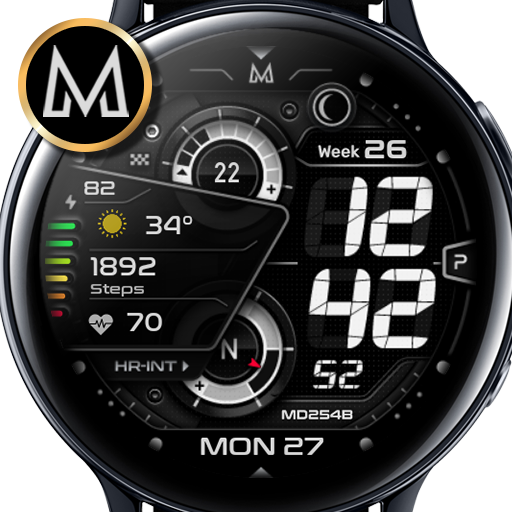 MD254B: Digital watch face