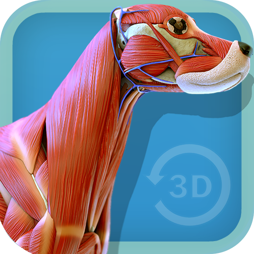 Visual Canine Anatomy 3D - lea