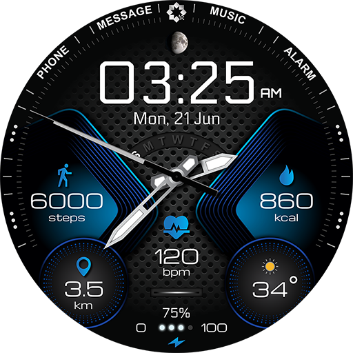 H310 Artistic Watch Face