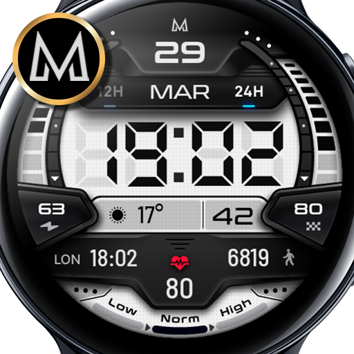 MD244 LCD: Digital watch face