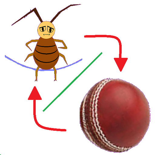 Combo:jump rope & cricket ball