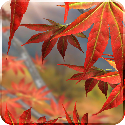 Autumn Tree Live Wallpaper